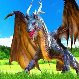 Flying Dragon Simulator Game3D