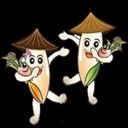 Sekinchan Travel App