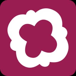 Places des Vosges, Histoire et