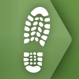 New Forest National Park Walks