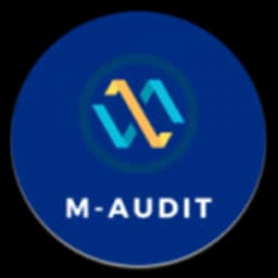mAudit - Mobile Audit Tool