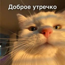 Стикеры спокойной ночи