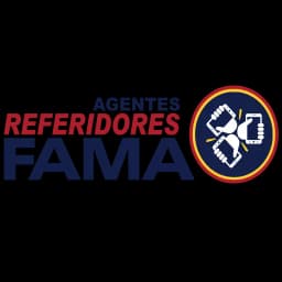 Agentes Referidores Financiera