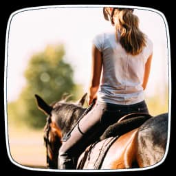 How to Do Horse Riding