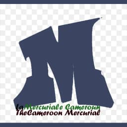 TheMercurial Cameroon