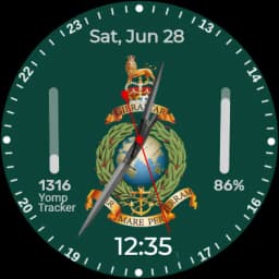 5W017 Royal Marines Analog