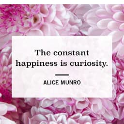 Meaningful Quotes Pictures