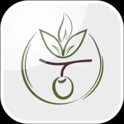 Oliveira Atacarejo Online