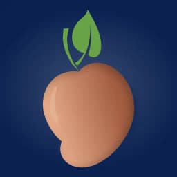 Octra pour les annonces - Como