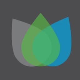 Smart Savvy Green Beaumont