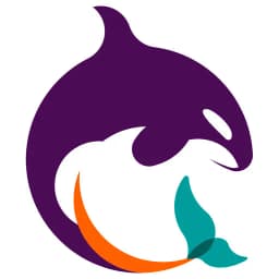 Meraki service reports