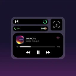 dynamic island notch