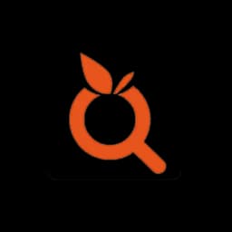 OrangeTrack Inspection