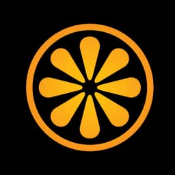 VisitBasis for retail audit