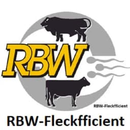 RBW-Fleckfficient