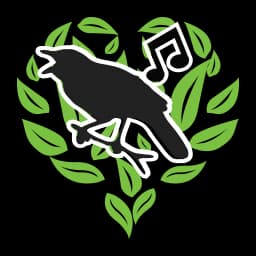 Sidekick - Cacophony