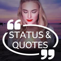 Status Quotes for Daily Posts