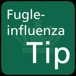 FugleinfluenzaTip