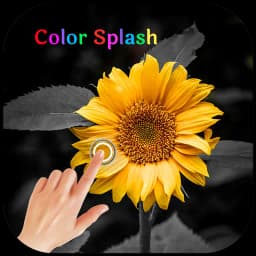 Color Splash Photo Edit Effect