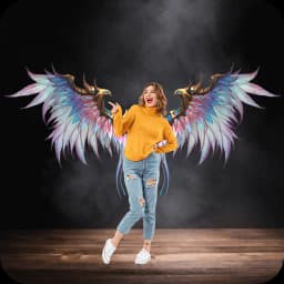 Wings for photos : Angel Wings