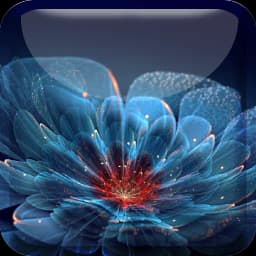 Amazing Fractal Flowers