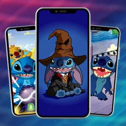 Blue Koala Wallpaper HD