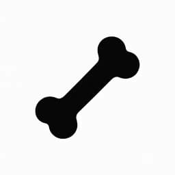 MRM-Medical Record Master