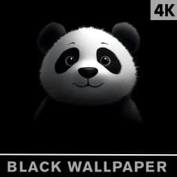 Black Wallpaper - AMOLED 4K