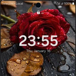 HD Red Rose Live Wallpaper