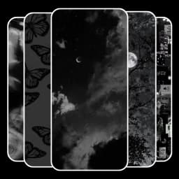 Black Aesthetic Wallpaper LIVE