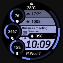MDS460 Digital Watch Face