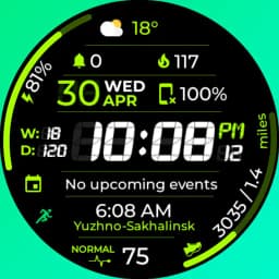 Chester Sport Pro watch face