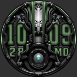 BlackRaven Watchface