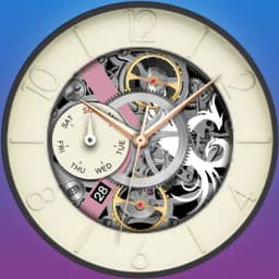 The Aristocrat Watch face