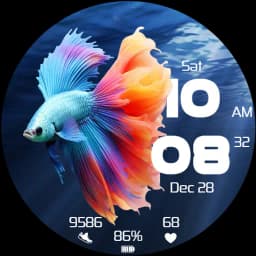 Betta Fighting Fish Watch Face