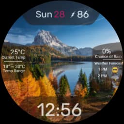 5W021 Autumn Season Forest