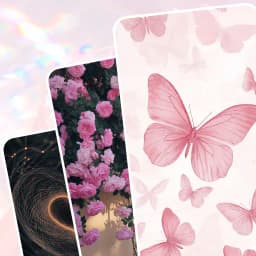 Aesthetic Pink Black Wallpaper