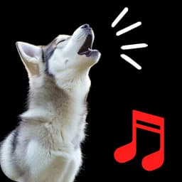 Dog Barking Sounds & Ringtone