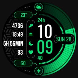 MDS445 Digital Watch Face