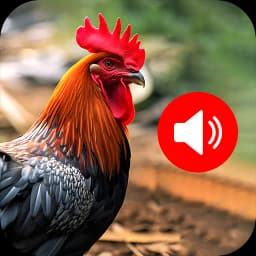 Animal Sounds and Bird Sounds