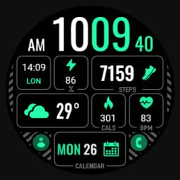 MDS441 Digital Watch Face