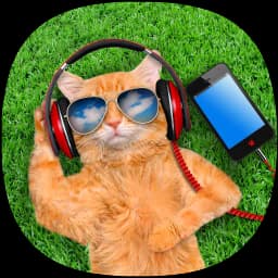 Relaxing Ringtones