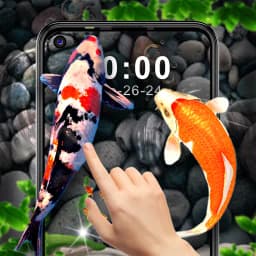 Fish Live Wallpaper Tank Touch