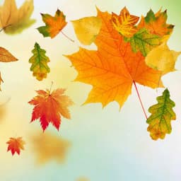 Autumn Live Wallpapers 3D