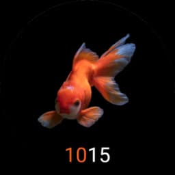 Gyro Animated Watch Face 02