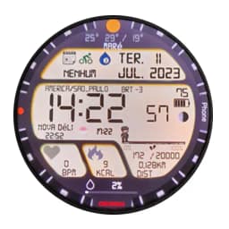 C10 - Global Military Digital