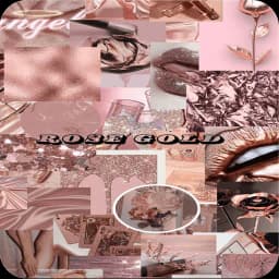 Rose Gold Wallpapers