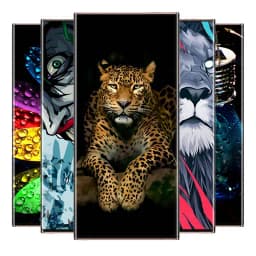 Walpapers for iphone 14 pro