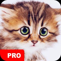 Cute Animal Wallpapers PRO