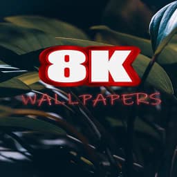 8k Wallpaper Photos